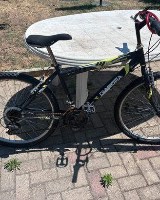 Bicicletta diadora
