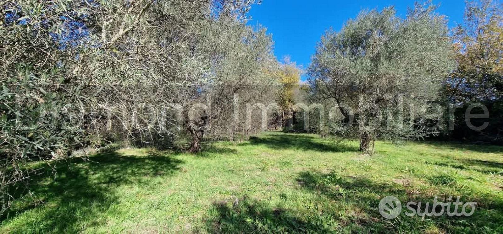 Terreno con rustico a Castiglione di Sicilia - Altro