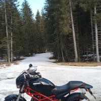 Ducati Monster 695 - 2007