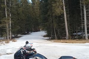 Ducati Monster 695 - 2007