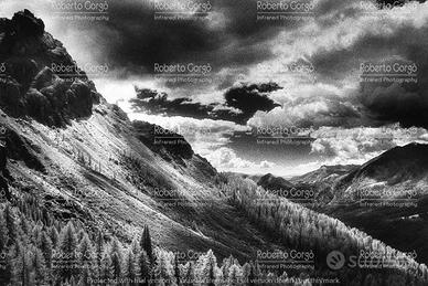 Fotografia Dolomiti Col Verde Infrarosso 21X30