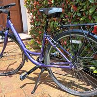 BICICLETTA DAWES VIOLA  SHIMANO