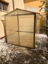 Serra per piante e fiori