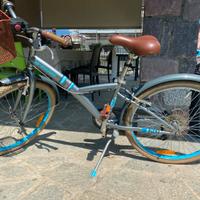 Bicicletta 24