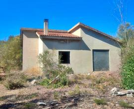 (s) Fabbricato agricolo con terreno piantumato