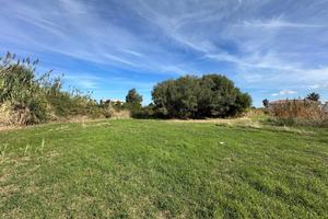 Terreno Residenziale Saponara [TAF003VRG]