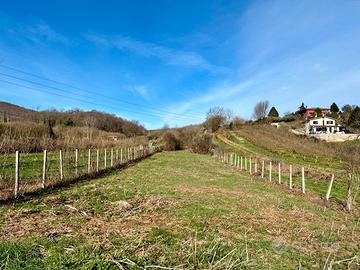 Palestrina: terreno agricolo