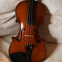 Violino