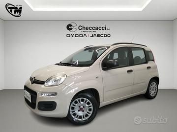 FIAT Panda 3ª serie Panda 1.2 Easy
