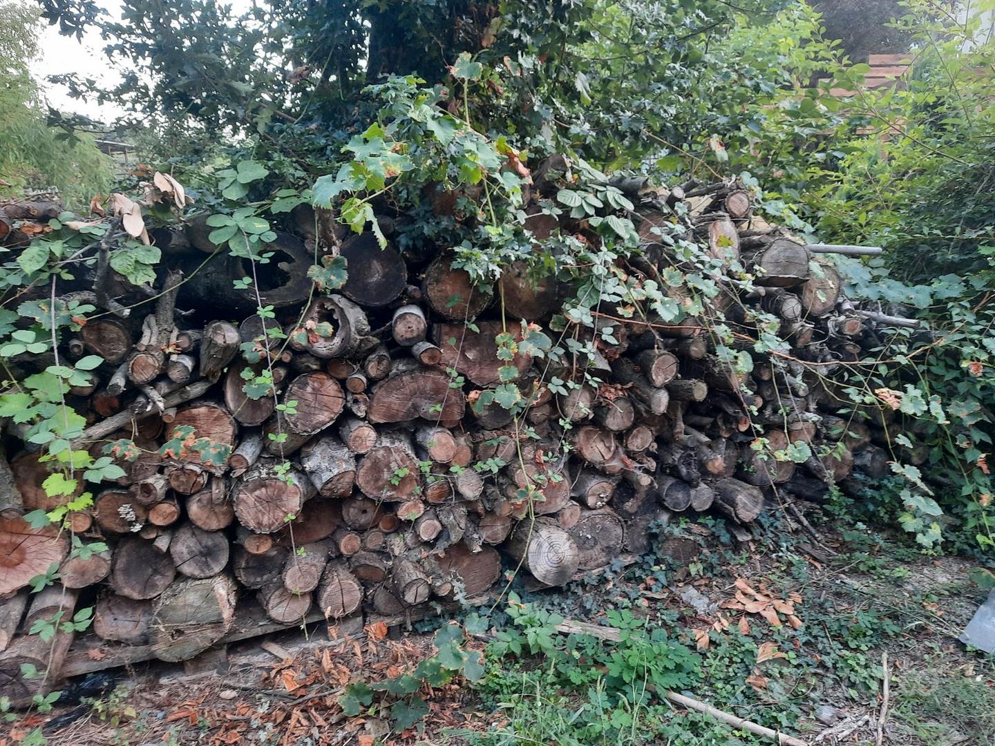 legna da ardere Giardino e Fai da te In vendita a Reggio Emilia