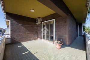 5 LOCALI A ROMA