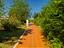Immagine 27