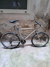 Mountain bike