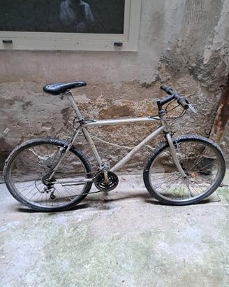 Mountain bike