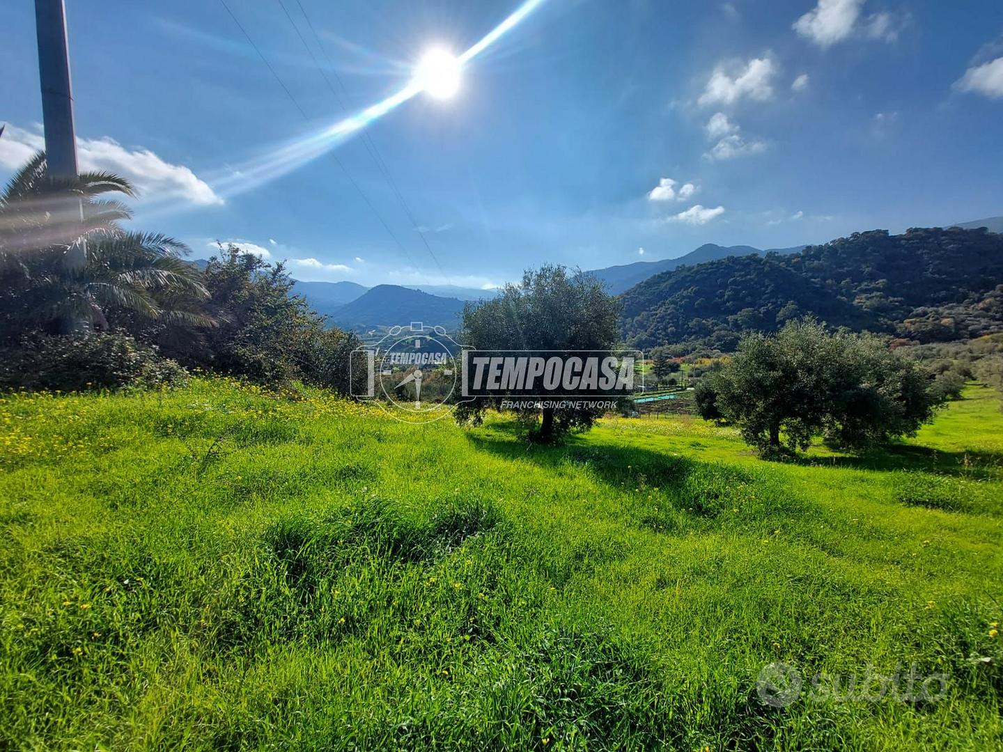 TERRENO DI UN ETTARO CON RUDERE A PATTI. - Vista 4