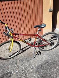 bicicletta mountain-bike 