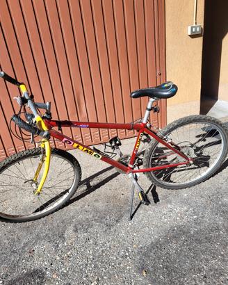 bicicletta mountain-bike 