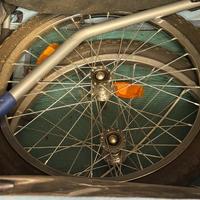 Trasportino per animali