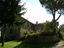 Immagine 12