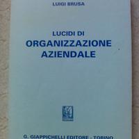 Lucidi di Organizzazione Aziendale - L.Brusa - Gia