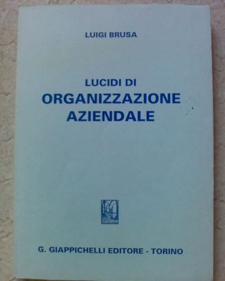 Lucidi di Organizzazione Aziendale - L.Brusa - Gia