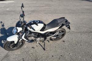 Suzuki Gladius 650 SFV