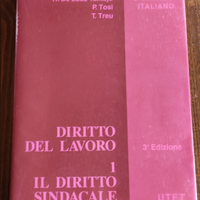 Diritto del lavoro. 1 Il diritto sindacale. III ed