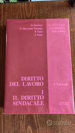 Diritto del lavoro. 1 Il diritto sindacale. III ed