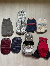 Set cappottini per cani