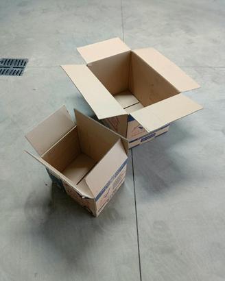 Scatoloni per trasloco (8 grandi, 27 piccoli)