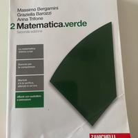 Matematica Verde 2