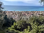 Immagine 11
