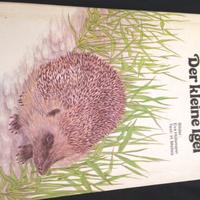 Der kleine igel in tedesco piccolo riccio