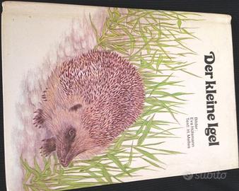 Der kleine igel in tedesco piccolo riccio