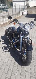 eritage springer 