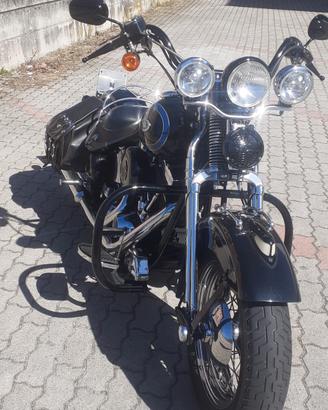 eritage springer 
