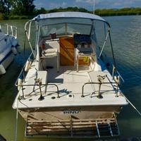 Chris Craft 25 express