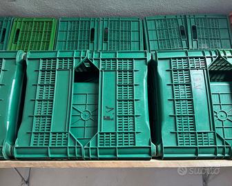 Cassette per uva/olive