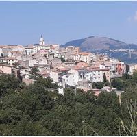 Rustico&terreno di 5.000 mq 50 ulivi+ boschetto
