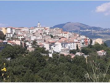 Rustico&terreno di 5.000 mq 50 ulivi+ boschetto