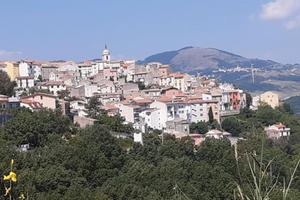 Rustico&terreno di 5.000 mq 50 ulivi+ boschetto