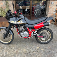 Dominator nx650 RD08