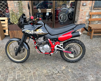 Dominator nx650 RD08