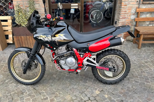 Dominator nx650 RD08