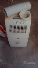 condizionatore portatile vortice polar