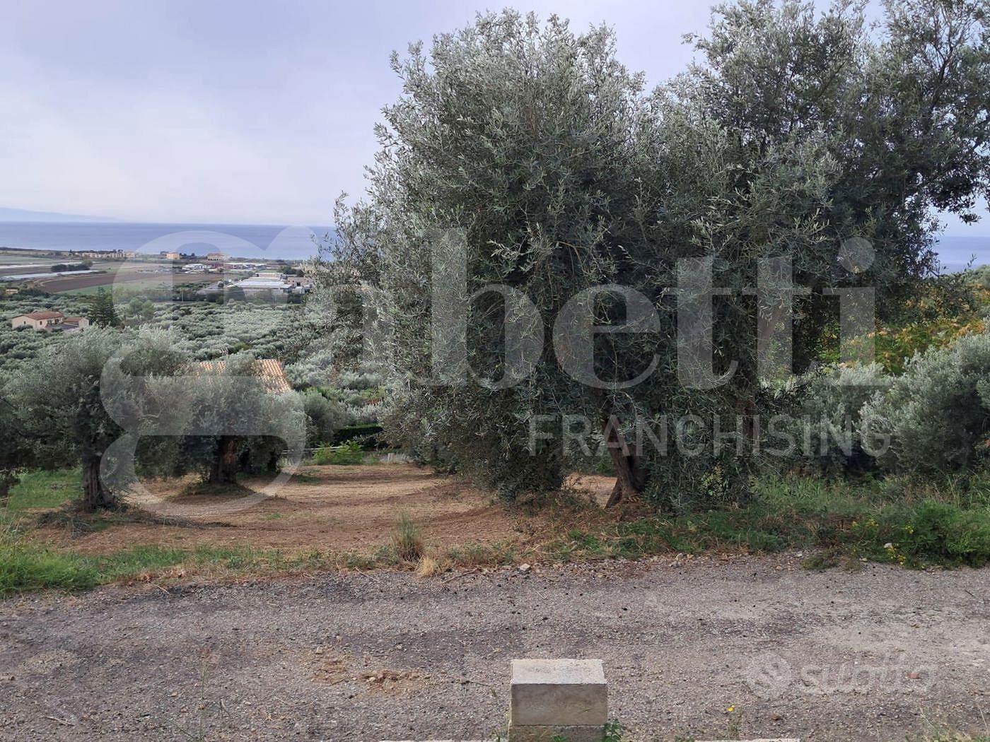 Terreno Residenziale Amantea [Cod. rif 3184786VRG] - Vista 2