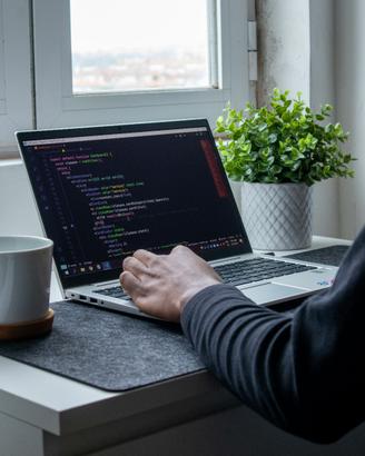 Web Developer