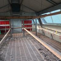 casetta per 100 galline ovaiole