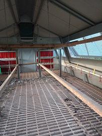 casetta per 100 galline ovaiole