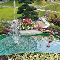 Laghetto per tartarughe/pesci